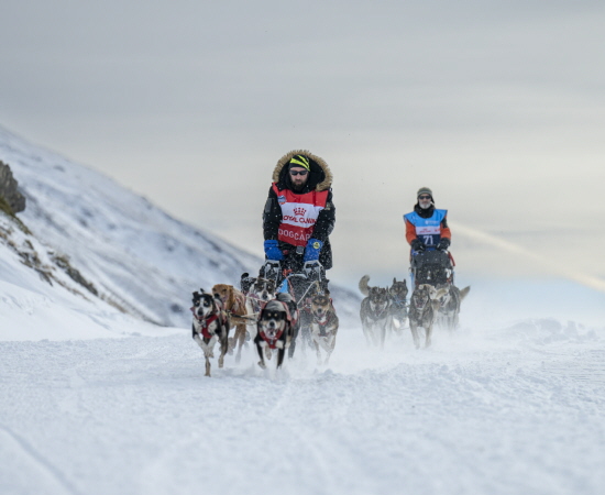 La Grande Odyssée Royal Canin