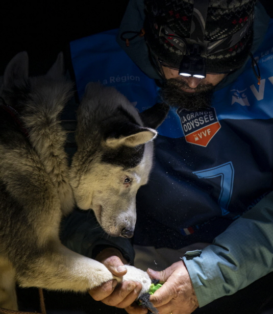 Crédit photo : Benoit Diacre